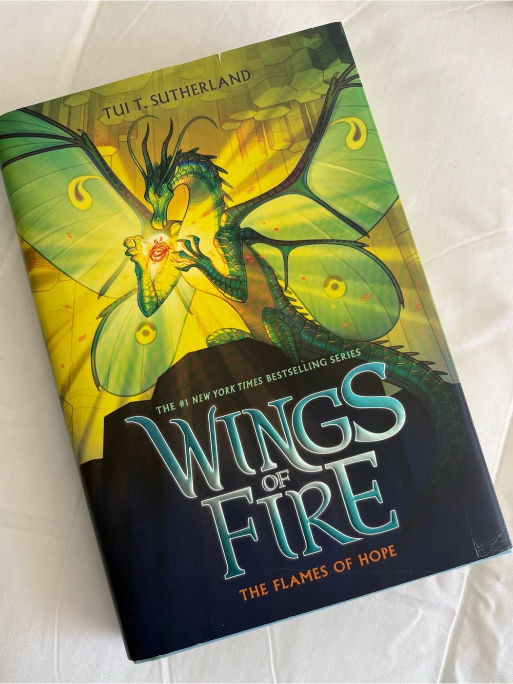 Wings of Fire:By-Tui Sutherland, The Flames of Hope Wall Art Print-Green Dragon